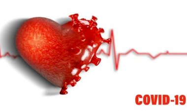 کرونا ویروس و ارتباط آن با بیماری های قلبی