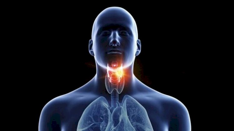 چگونگی اثرگذاری ویروس کرونا بر تارهای صوتی و حنجره