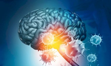 کرونا چگونه بر مغز تأثیر می گذارد؟