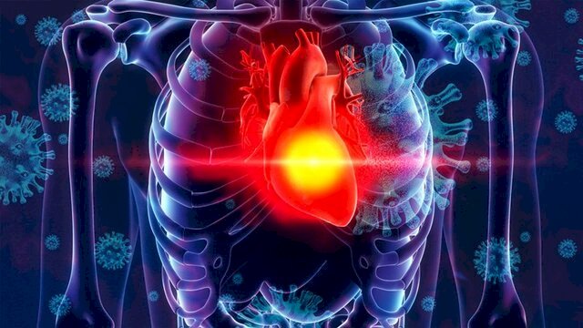واکنش قلب به ورود ویروس کرونا به بدن