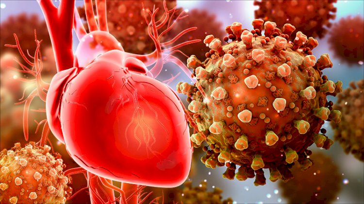 واکنش قلب به ورود ویروس کرونا به بدن