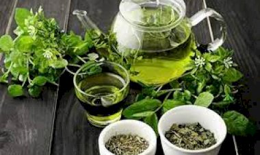 اهمیت چای سبز در هنگام ابتلا به کرونا