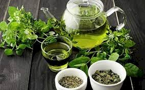 اهمیت چای سبز در هنگام ابتلا به کرونا