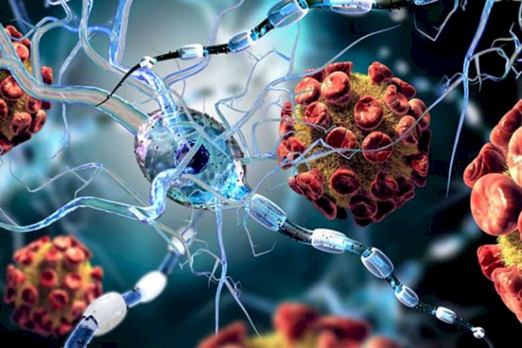 چه کسانی بیشتر در معرض کرونا هستند؟